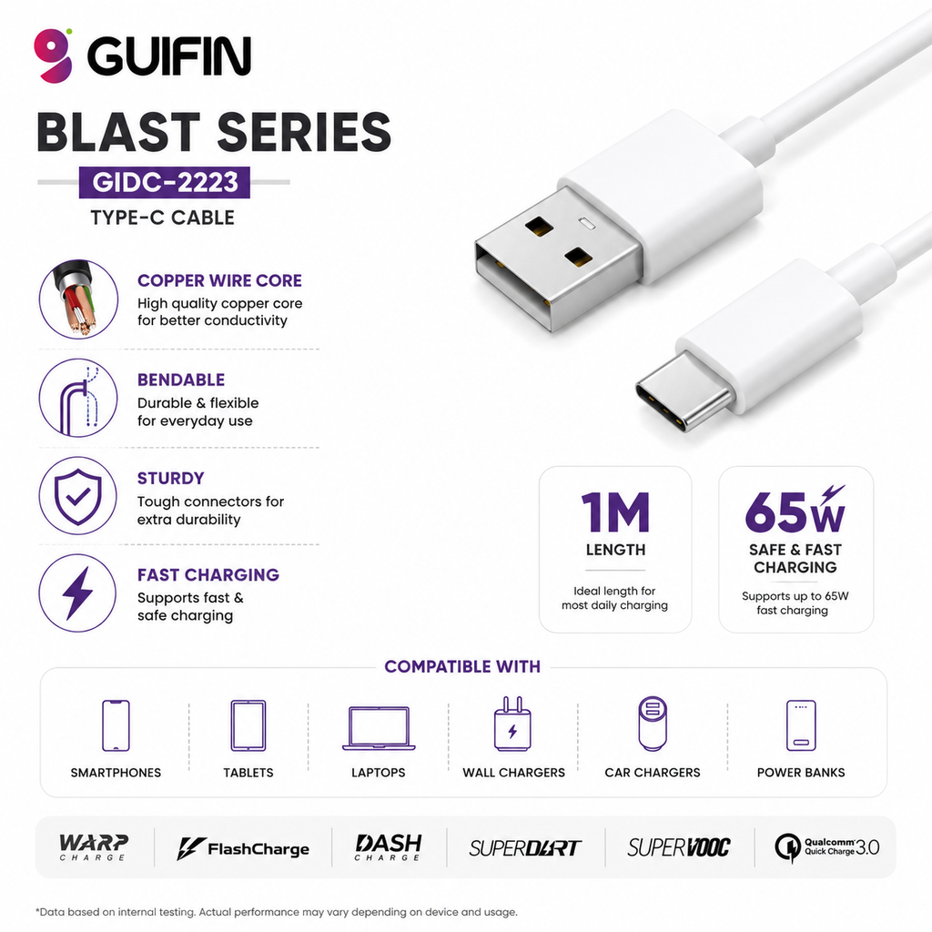 BLAST SERIES 65W CABLE
