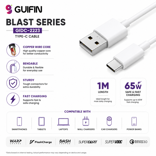 BLAST SERIES 65W CABLE